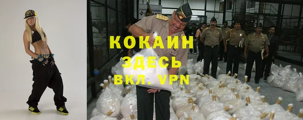 сатива Горно-Алтайск