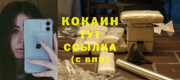 дживик Гусь-Хрустальный