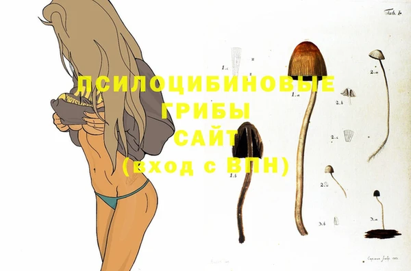 дживик Гусь-Хрустальный