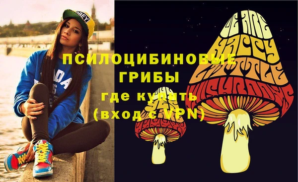 метамфетамин Гусев