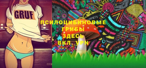 метамфетамин Гусев