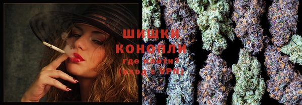 сатива Гусиноозёрск