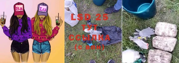 сатива Гусиноозёрск