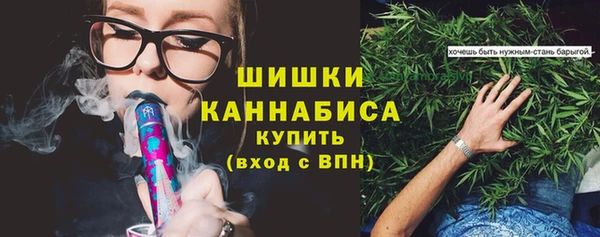 сатива Гусиноозёрск