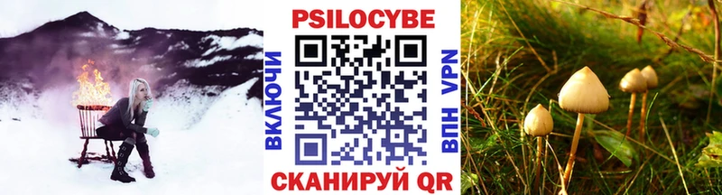 Галлюциногенные грибы MAGIC MUSHROOMS  купить наркоту  ОМГ ОМГ ссылки  Домодедово 